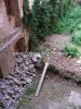 sovinec_0016a.jpg