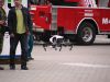 idet_pyros_iset_2015_87b.jpg