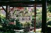 japan_garden_01.jpg