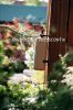 japan_garden_02.jpg
