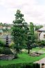 japan_garden_10.jpg