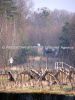 mo_s-19-alej_0004.jpg
