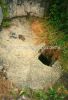 mo_s-5a-na_trati_0001a.jpg