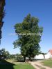plumlov_0003i.jpg