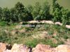 plumlov_0005e.jpg
